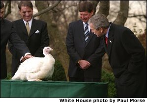 President George W. Bush looks over Katie, the National Thanksgiving Turkey, during the annual ceremonial pardoning in the Rose Garden, Tuesday, Nov. 26. "By virtue of this pardon, Katie is on her way not to the dinner table, but to Kidwell Farm in Herndon, Virginia. There she\'ll live out her days as safe and comfortable as she can be," said President Bush before granting the pardon. White House photo by Paul Morse. White House photo by Paul Morse