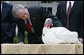 President George W. Bush offers an official pardon to May, the 2007 Thanksgiving Turkey, during festivities Tuesday, Nov. 20, 2007, in the Rose Garden of the White House. In pardoning May, and the alternate, Flower, the President said, 