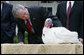 President George W. Bush offers an official pardon to May, the 2007 Thanksgiving Turkey, during festivities Tuesday, Nov. 20, 2007, in the Rose Garden of the White House. In pardoning May, and the alternate, Flower, the President said, "May they live the rest of their lives in blissful gobbling. And may all Americans enjoy a holiday full of love and peace. God bless you all." White House photo by Chris Greenberg