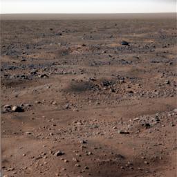 Frost on Mars