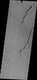Collapse Features