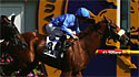 Kerrin McEvoy riding All the Good crosses the line to win the Caulfield Cup at Caulfied Racecourse on October 18, 2008 in Melbourne, Australia. (Getty Images)