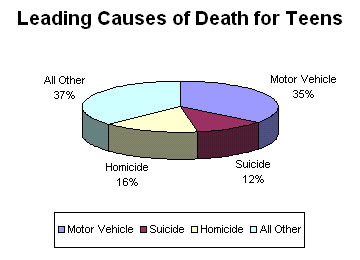 Pie Chart - Leading cause of death among teens.