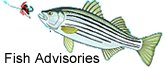 Fish Advisories