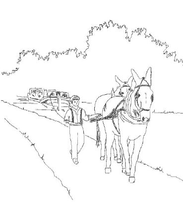 Drawing of boy with mules