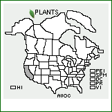 Distribution of Avena occidentalis Durieu. . 