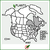 Distribution of Avena sterilis L.. . 