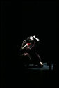 A performer is spotlighted during the opening ceremonies Friday, Nov. 4, 2005, of the Summit of the Americas in Mar Del Plata, Argentina. White House photo by Eric Draper