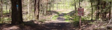 North Country Trail in Allegheny National Forest