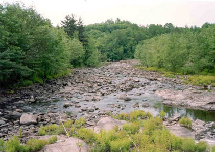 Raquette River before restoration