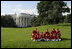 President George W. Bush and Mrs. Bush hosts Tee Ball on the South Lawn with The Fort Belvoir Little League Braves of Fort Belvoir, Virginia and the Naval Base Little League Yankees of Norfolk, Virginia, June 23, 2003.