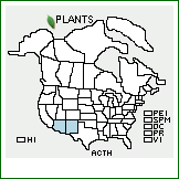 Distribution of Acourtia thurberi (A. Gray) Reveal & King. . 