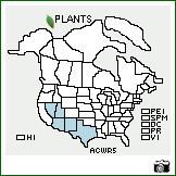 Distribution of Acourtia wrightii (A. Gray) Reveal & King. . Image Available. 