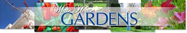 Link to White House Gardens front page