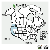 Distribution of Alopecurus saccatus Vasey. . Image Available. 