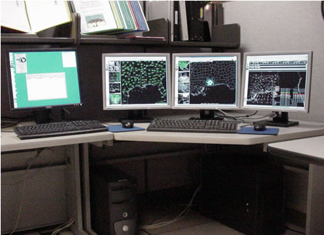 Awips Workstation