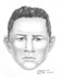 Illustration of and link to unknown suspect