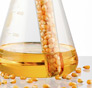 Photo of beaker containing ethanol fuel and a test tube filled with corn kernels.