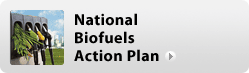 National Biofuels Action Plan