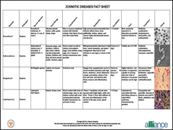ABSA's Zoonotic Diseases Fact Sheet
