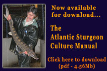 Sturgeon Culture Manual