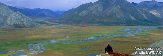 Photo of hiker sitting on hill overlooking the Arctic NWR, Alaska.