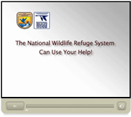 Photo of video player for video of 'The National Wildlife Refuge System Can Use Your Help!'
