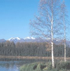 Hidden Lake at Kenai National Wildlife Refuge, credit USFWS