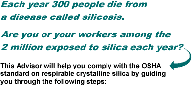 Each year 300 people die from silicosis