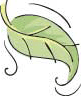 image of plant leaf
