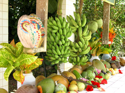 Saipan Botanical Garden.