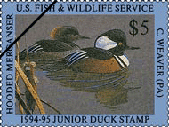 Junior Duck Stamp