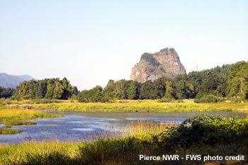 Photo from NWR around the region