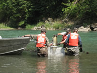 transplanting salon above condit dam