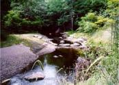 Restored stream habitats 1