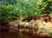 Degraded stream habitats 1