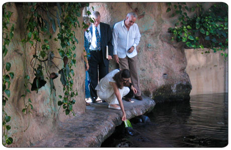 06-14-2007. Deputy Secretary Lynn Scarlett takes a tour of the Veracruz Aquarium and visits the Manatee tank. With her is Armando Fernandez-Rangel, Director of the Aquarium and Dr. Jerry Schubel, President, Aquarium of the Pacific. 