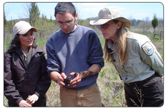 Fish and Wildlife Service and New Jersey state biologists examine a bog turtle on private land in New Jersey. Under the Landowner Incentive Program, which supports cooperative efforts with private landowners interested in conserving natural habitat for species at risk, the New Jersey Endangered and Nongame Species Program will receive funds to protect habitat for the turtle and other endangered and threatened species.

[Photo Credit: John Organ/USFWS] 