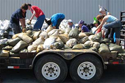 Belarusian YCO students hoist sandbags in a clean-up project at the University of Iowa following record floods, July 2008.  [Shanley Pinchotti, American Councils] 