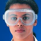 Figure 1. Safety goggles