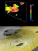 Io's Tvashtar Area in Infrared: Multiple Lava Flows