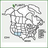 Distribution of Aristolochia watsonii Woot. & Standl.. . 