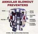 Annular Blowout Preventer