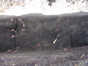 Photo of an archaeological excavation - a trench with pins marking the artifacts