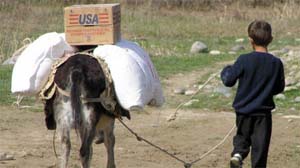 Boy walks donkey with USAID box on its back. [Tajikastan, State Dept. Phot 2008]