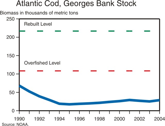 This graph shows that the biomass of Atlantic cod has fallen from close to 60,000 metric tons in the early 1990s to approximately 30,000 metric tons in 2003.  The Atlantic cod is considered "overfished."   