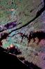 Space radar image of New York City