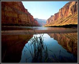 Image: Marble Canyon at Nankoweap, Colorado River
© Marc Muench, all rights reserved