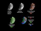 Phoebe's Mineral Distribution