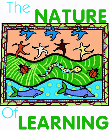 The Nature of Learning logo